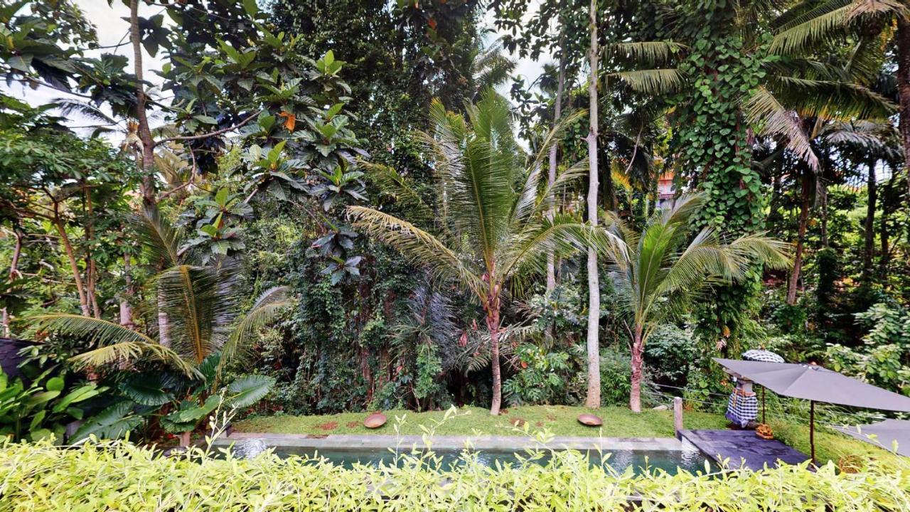 Six Cubes Ubud 호텔 외부 사진