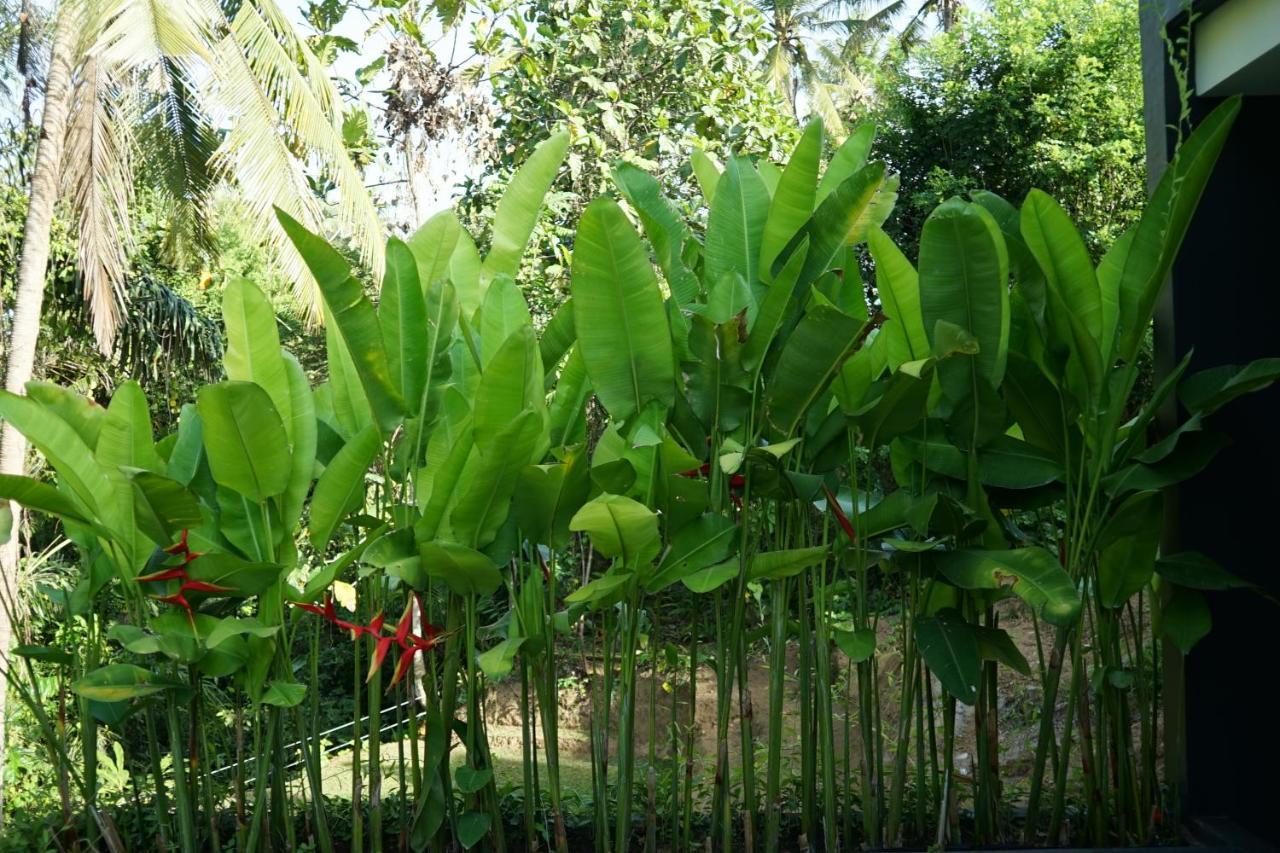 Six Cubes Ubud 호텔 외부 사진